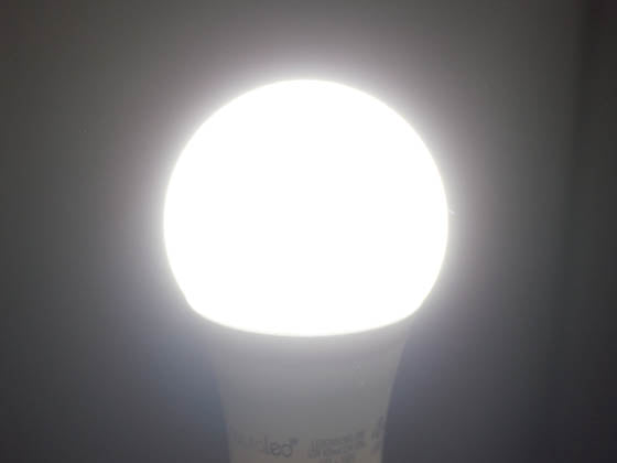 NaturaLED Dimmable 12 Watt 5000K A-19 LED Bulb