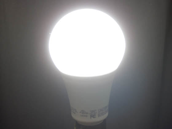 NaturaLED Dimmable 17 Watt 5000K A-21 LED Bulb